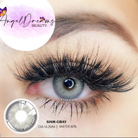 SIAM COLLECTION Contact Lenses