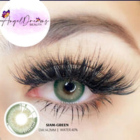 SIAM COLLECTION Contact Lenses