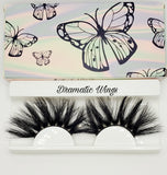 Dramatic Wings Collection